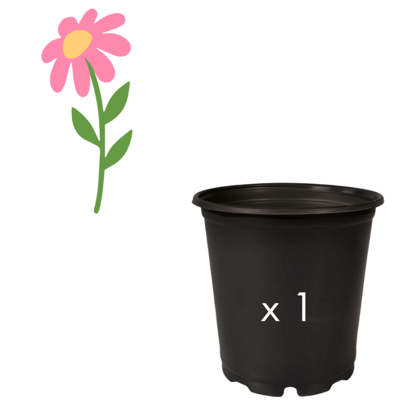 Green Spot Wholesale Order Request - Annual Specialty Flowers in #01 Gallon Euro Pot