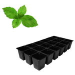 Green Spot Wholesale Order Request - Annual Herbs in 1835 Tray