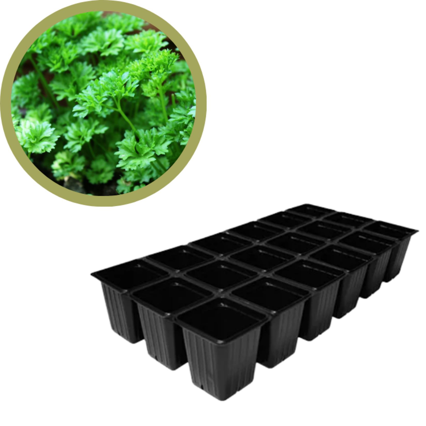 Green Spot Wholesale Order Request - Annual Herbs in 1835 Tray