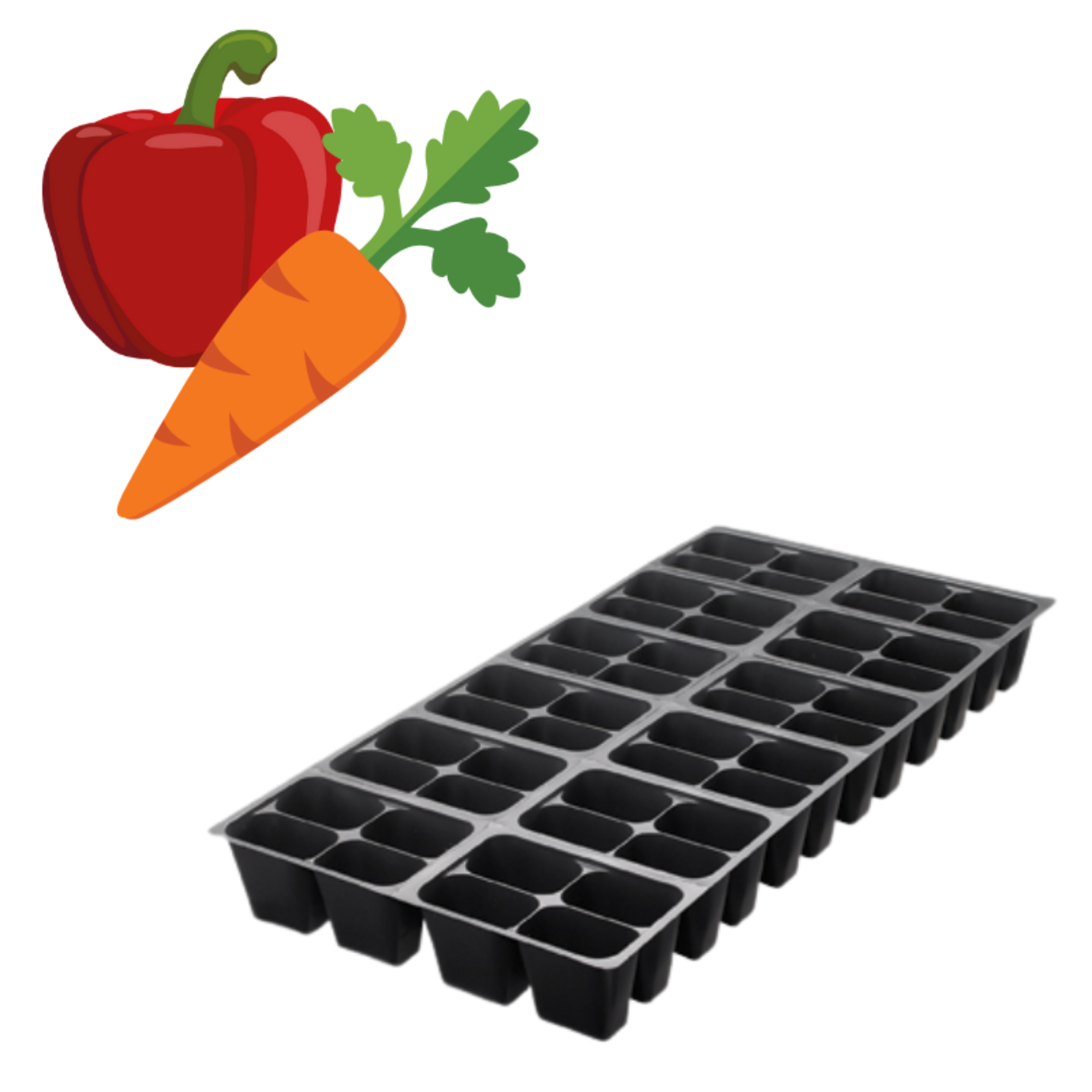 Green Spot Wholesale Order Request - Annual Vegetables in 1204 Tray