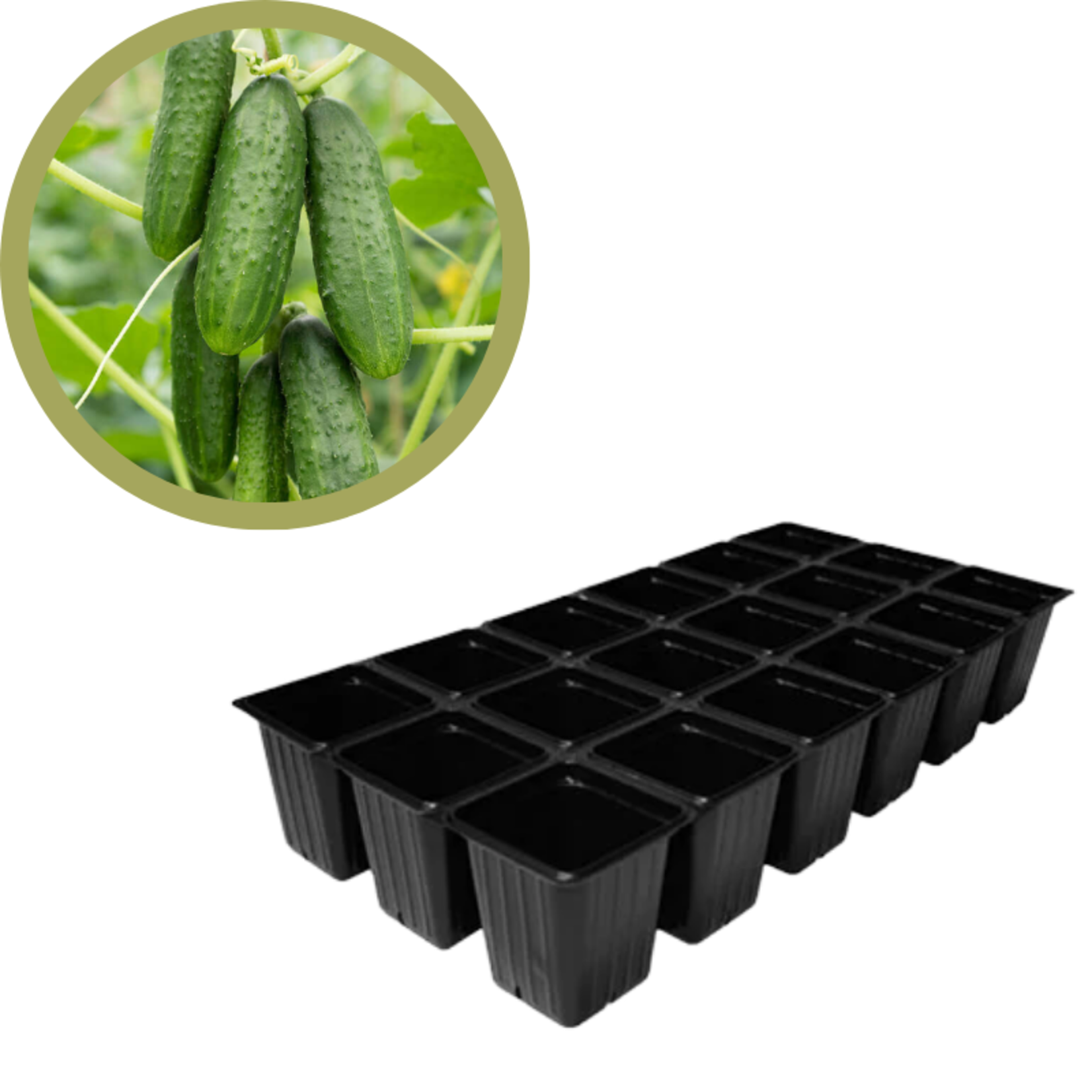 Green Spot Wholesale Order Request - Annual Vegetables in 1835 Tray