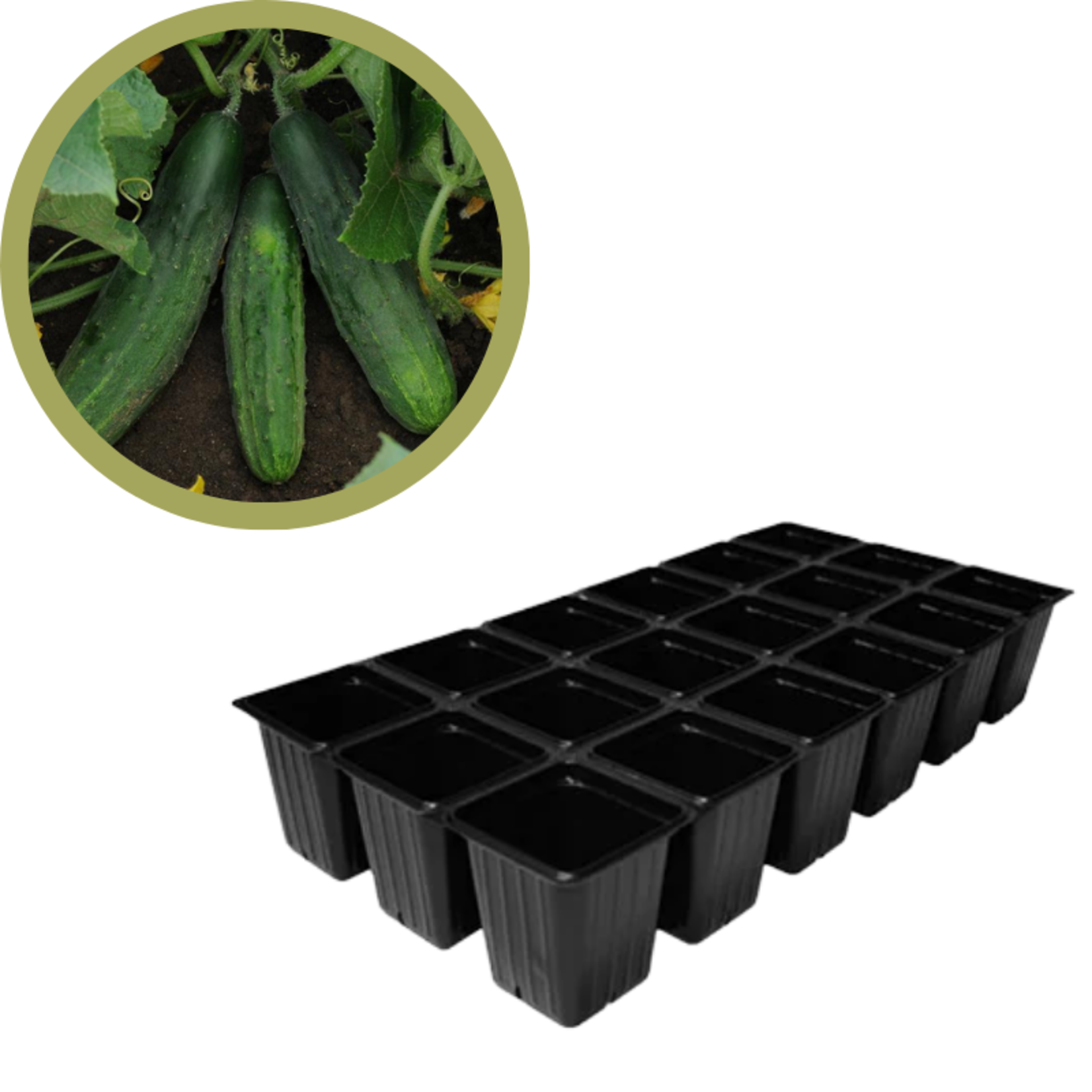Green Spot Wholesale Order Request - Annual Vegetables in 1835 Tray