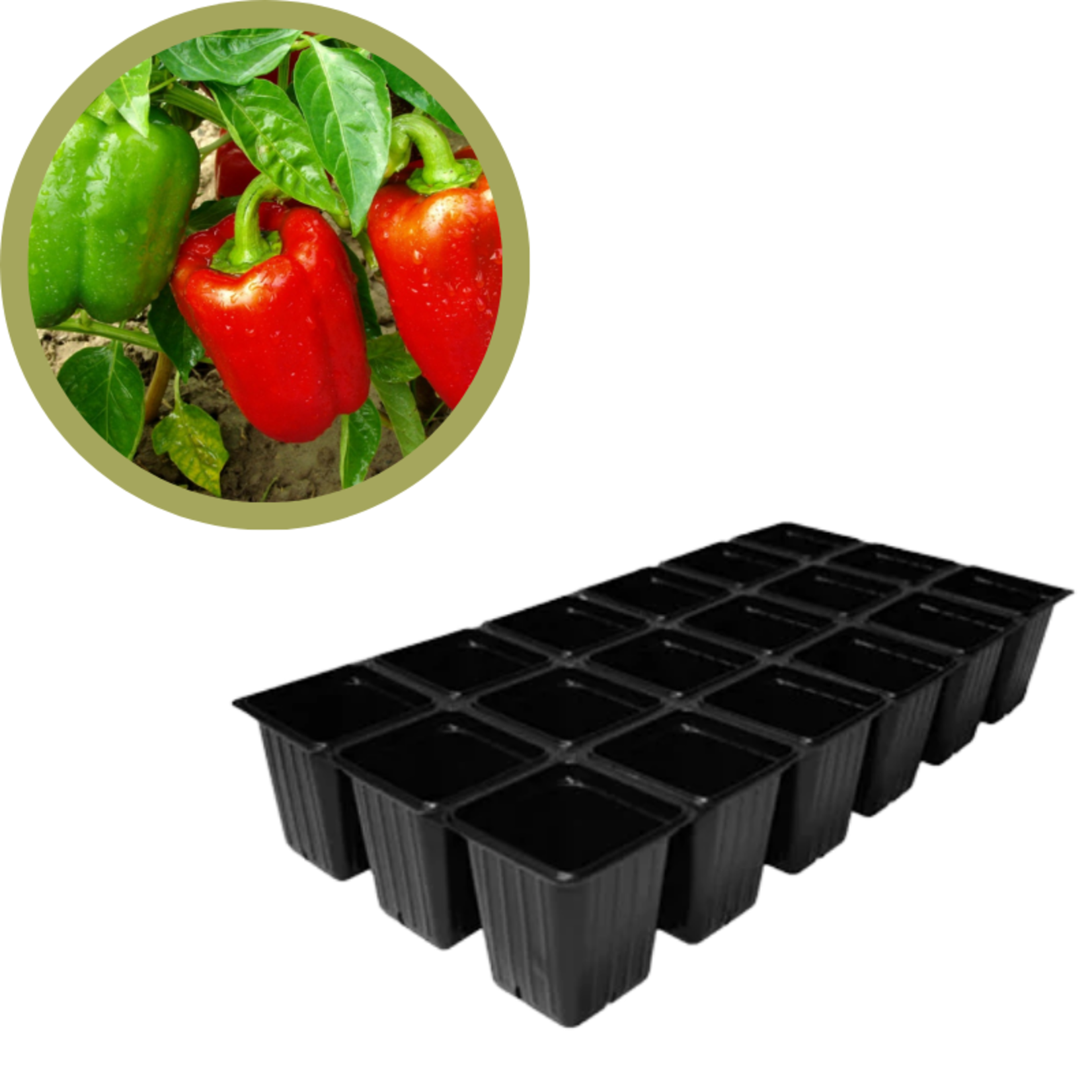 Green Spot Wholesale Order Request - Annual Vegetables in 1835 Tray