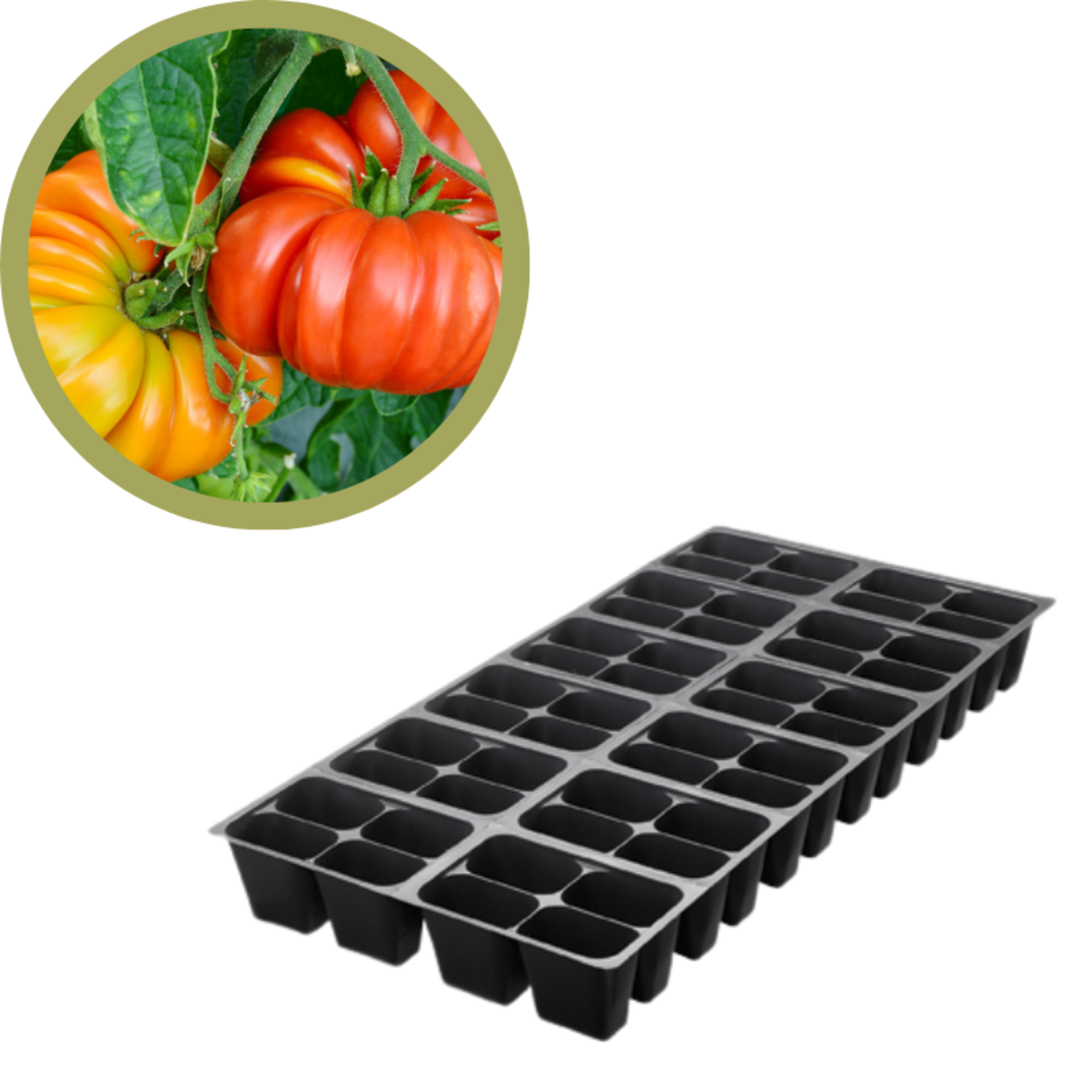Green Spot Wholesale Order Request - Annual Tomatoes in 1204 Tray