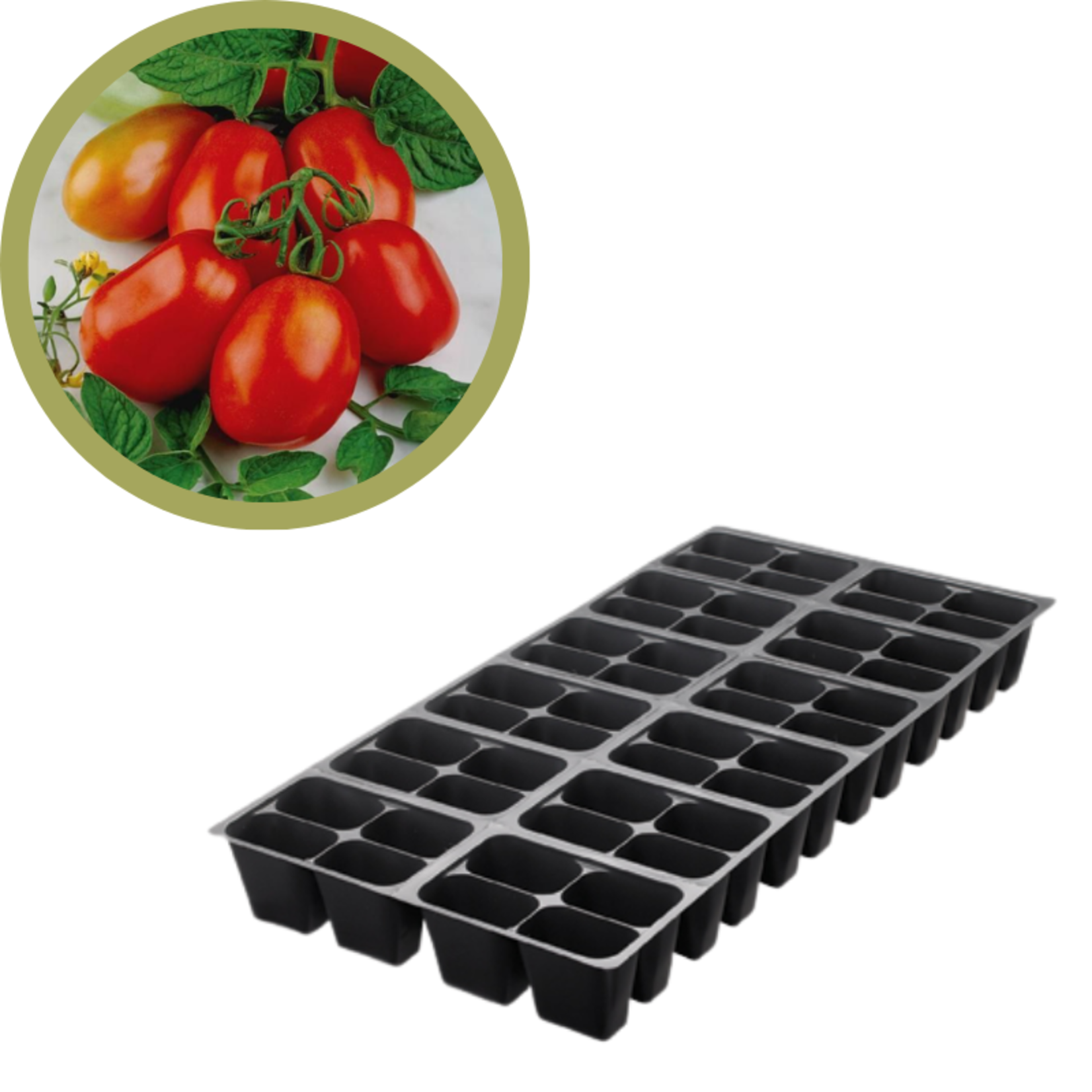 Green Spot Wholesale Order Request - Annual Tomatoes in 1204 Tray