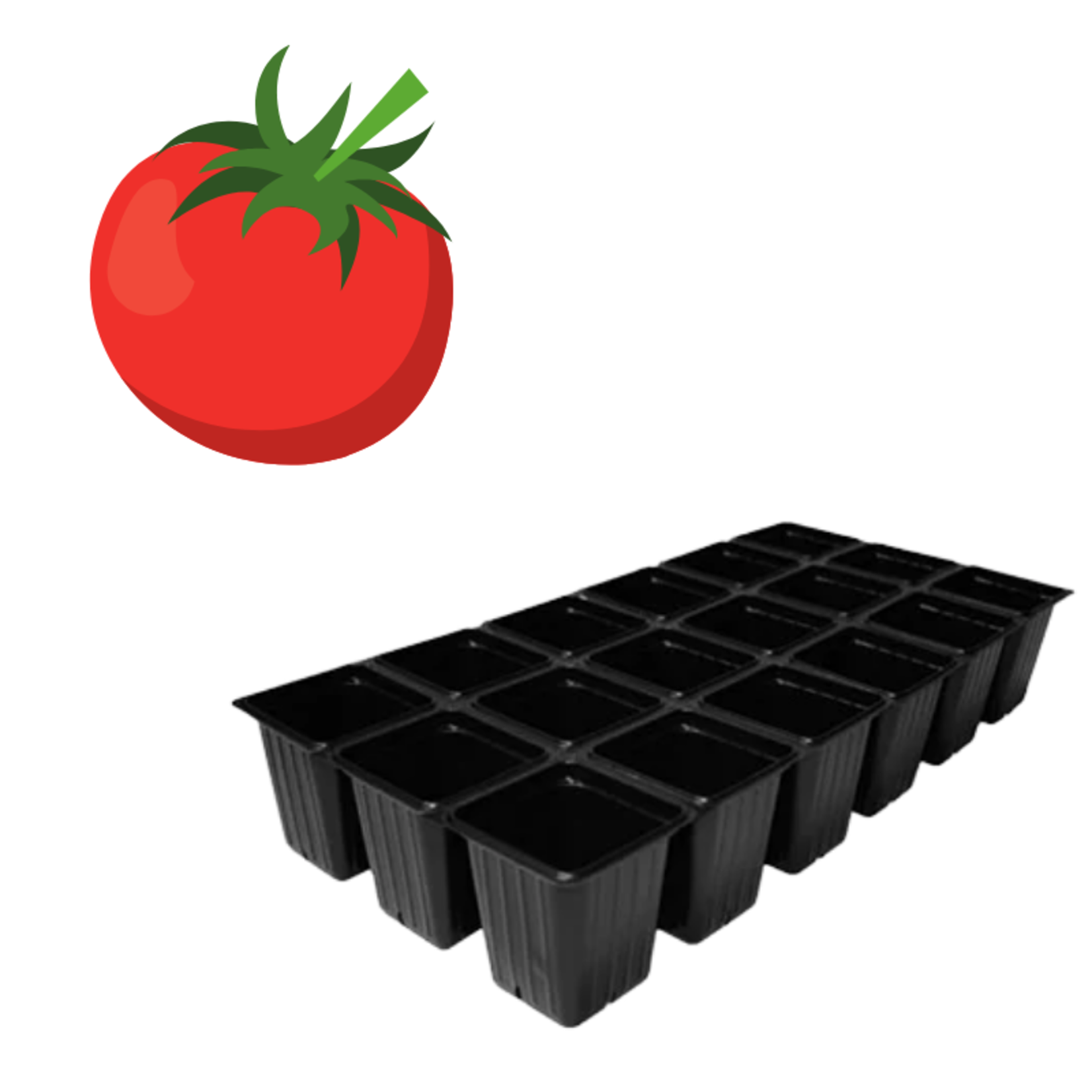 Green Spot Wholesale Order Request - Annual Tomatoes in 1835 Tray