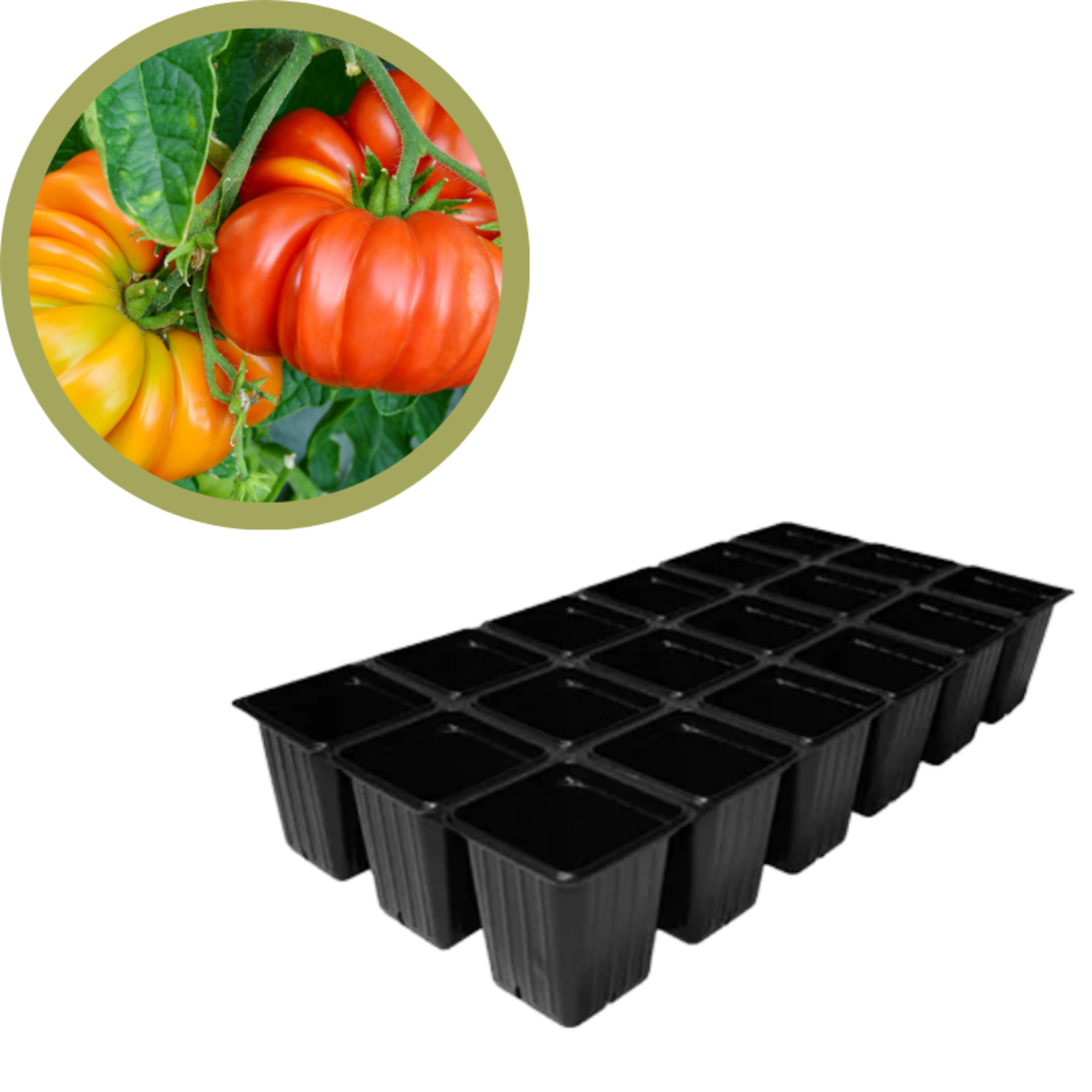 Green Spot Wholesale Order Request - Annual Tomatoes in 1835 Tray