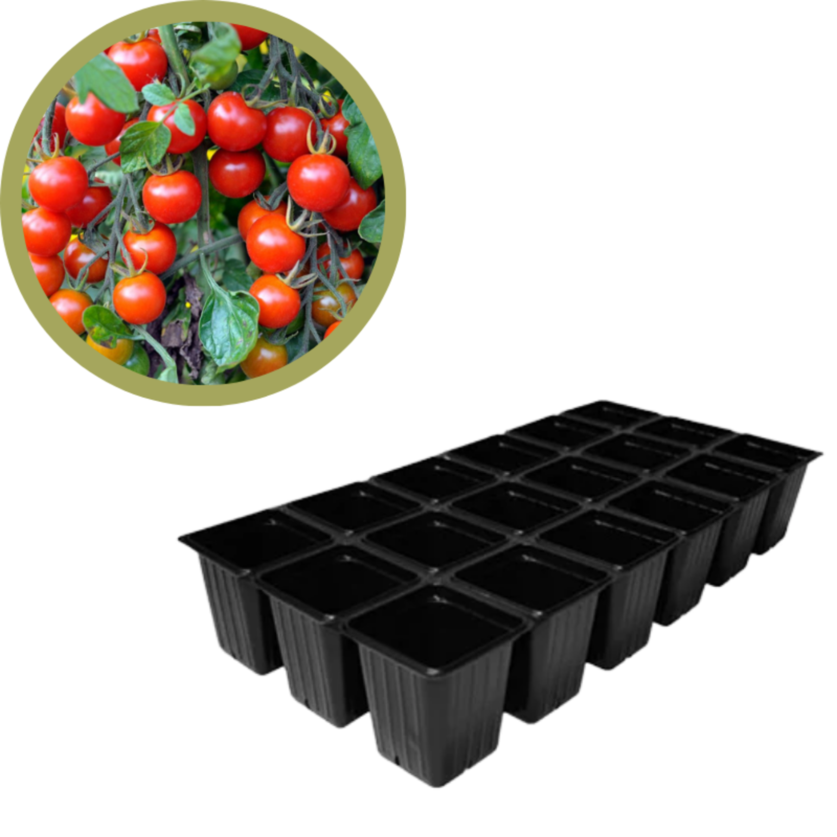 Green Spot Wholesale Order Request - Annual Tomatoes in 1835 Tray