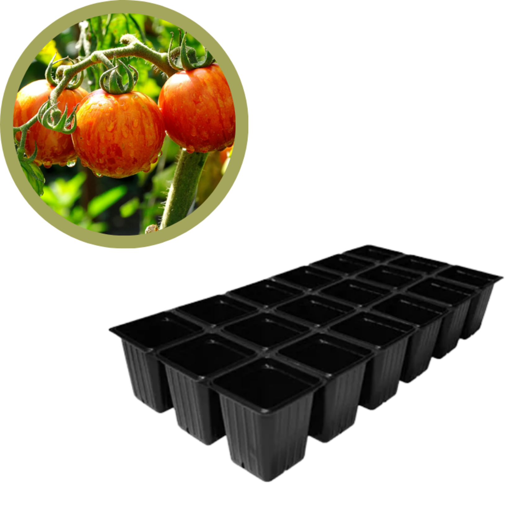 Green Spot Wholesale Order Request - Annual Tomatoes in 1835 Tray