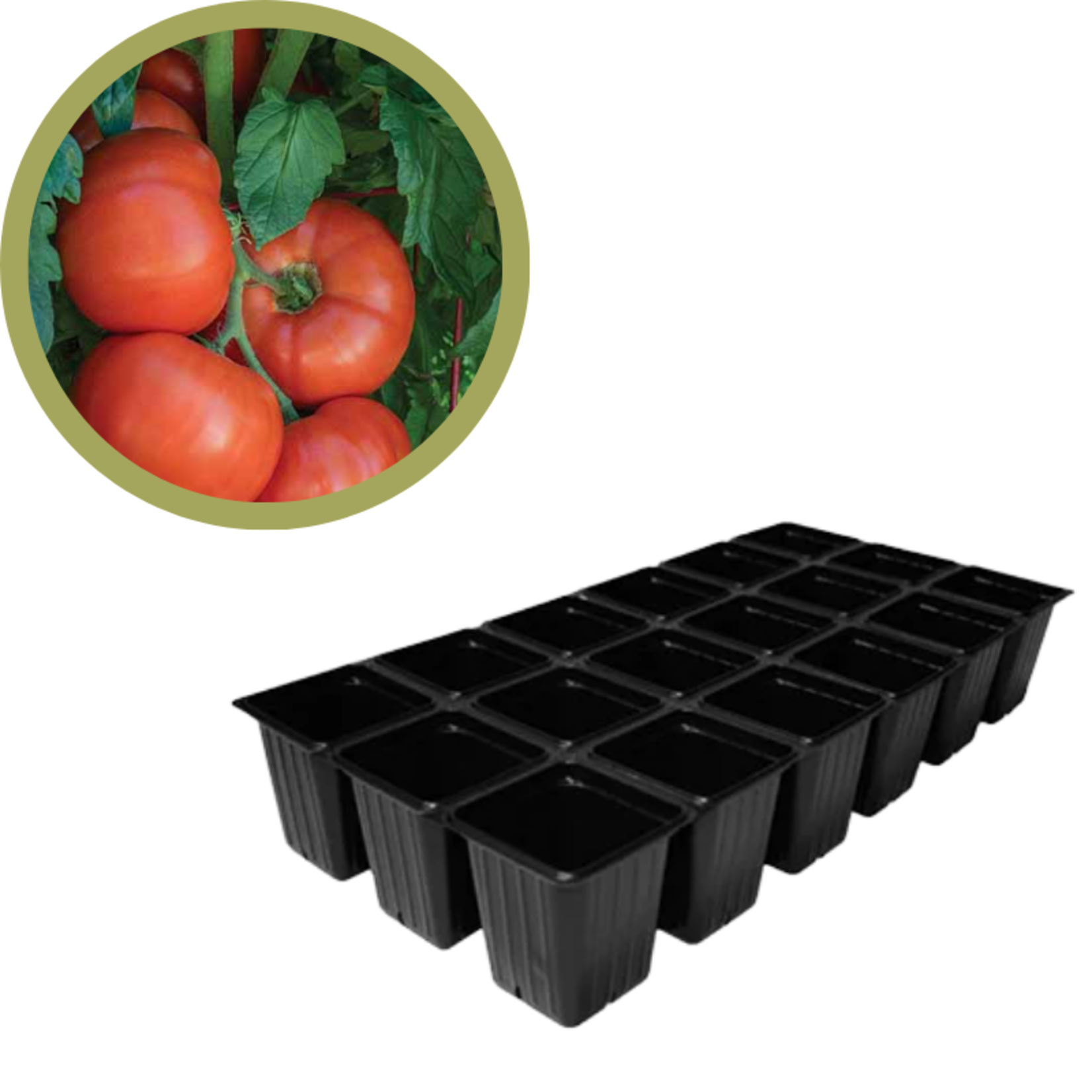 Green Spot Wholesale Order Request - Annual Tomatoes in 1835 Tray