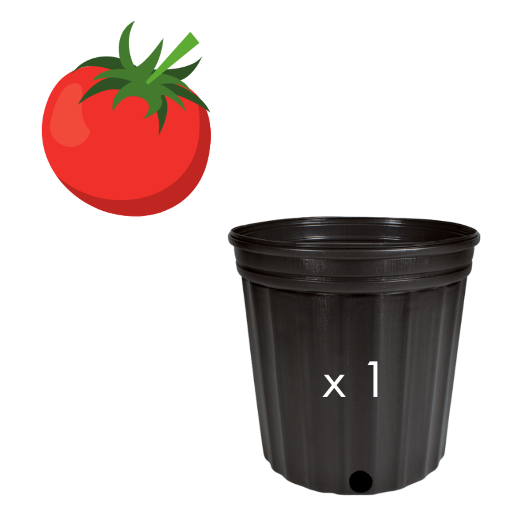 Green Spot Wholesale Order Request - Annual Tomatoes in #02 Gallon Euro Pot