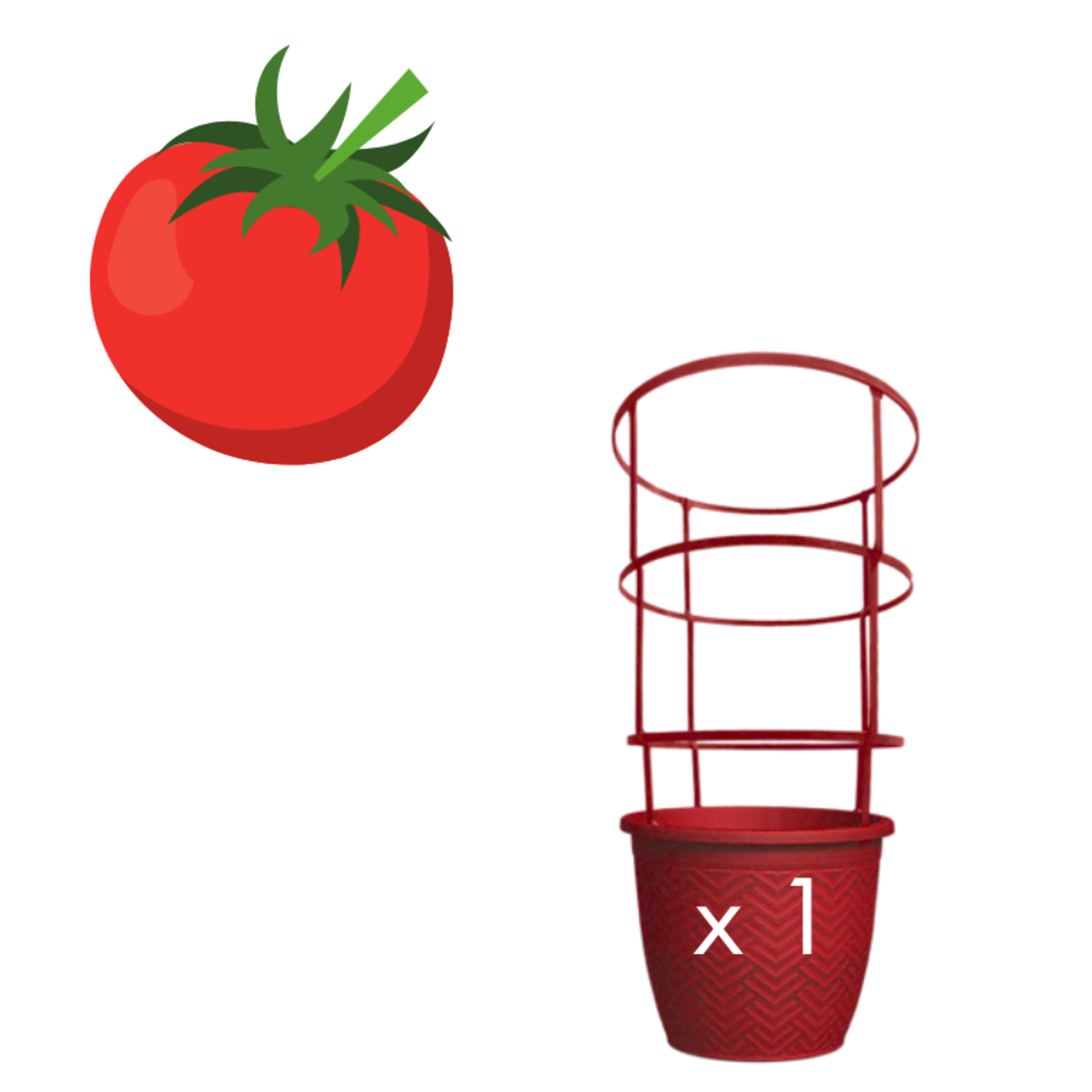 Green Spot Wholesale Order Request - Annual Tomatoes in #02 Gallon Trellis Pot