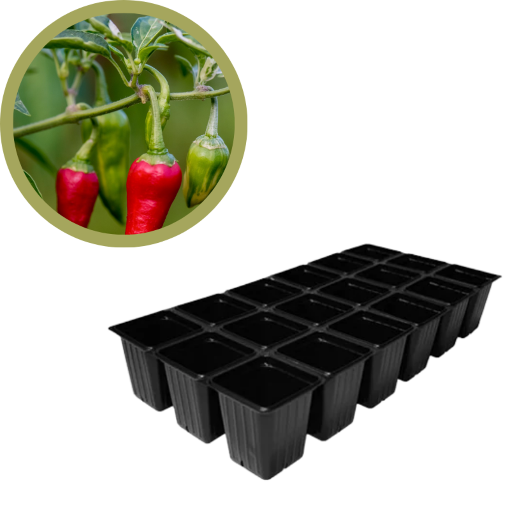 Green Spot Wholesale Order Request - Annual Vegetables in 1835 Tray