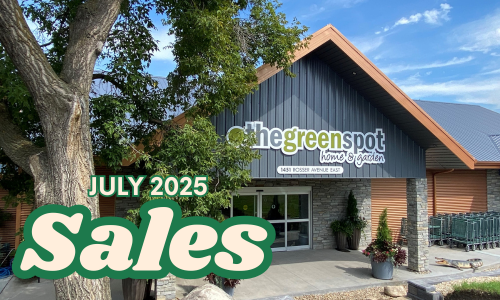 July Sales