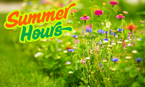 Summer Hours at The Green Spot