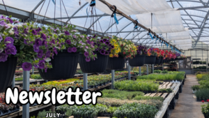 July Newsletter - We're Back! How's your Green Thumb July Newsletter - We're Back! How's your Green Thumb