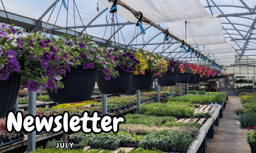 July Newsletter - We're Back! How's your Green Thumb