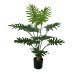Artificial Philodendron Pittieri