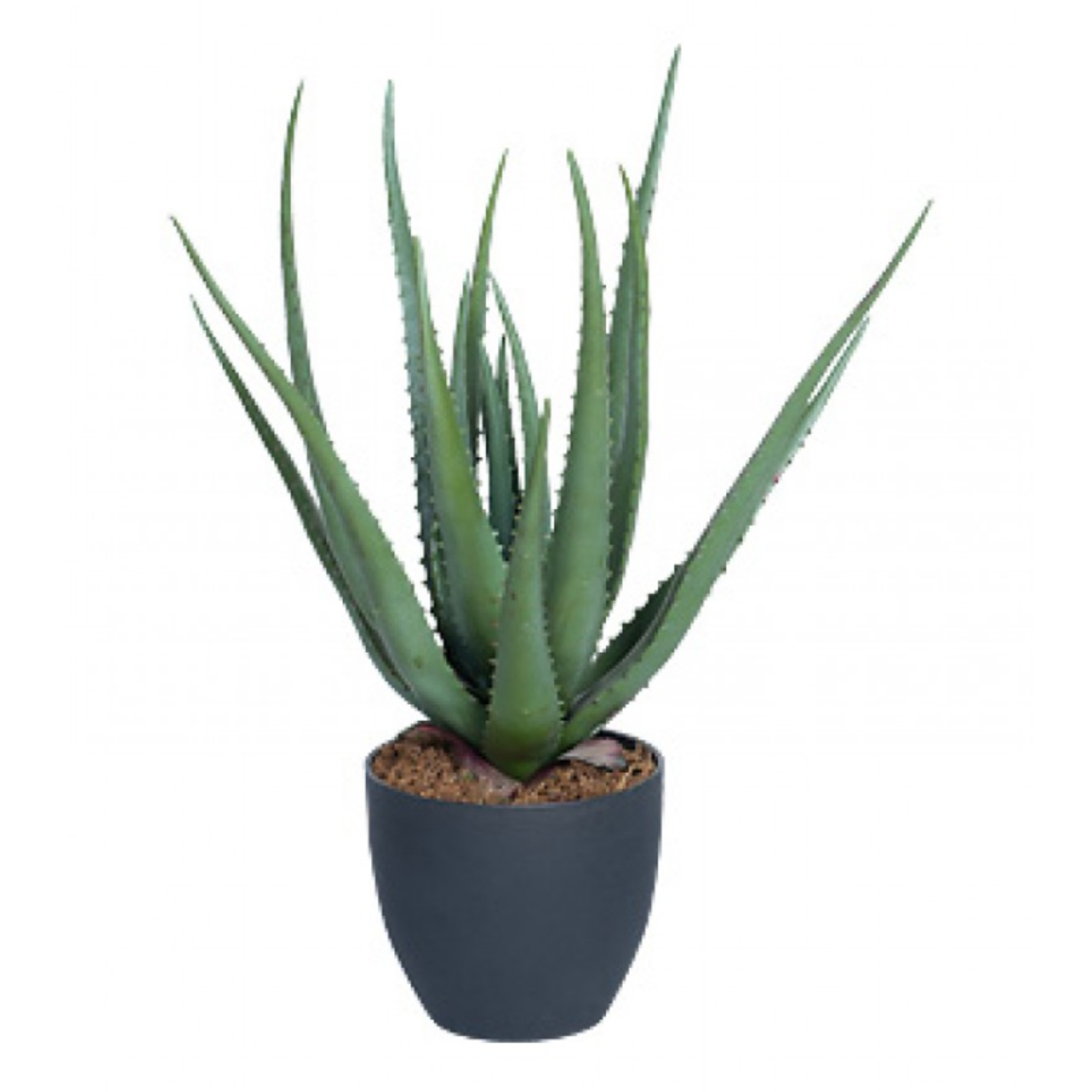 16" Artificial Aloe in 7" Pot