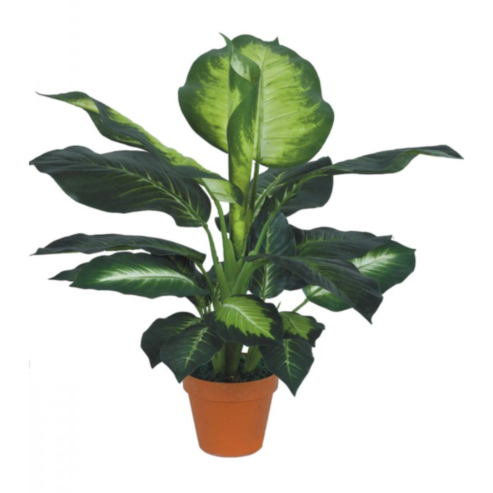 Artificial Dieffenbachia Plant w/ 5.5" Pot