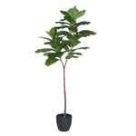 Artificial Fiddle Tree in Plastic Pot