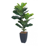 Artificial Fiddle Tree in Plastic Pot