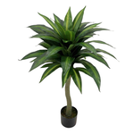 Artificial Dracaena 1m w/ Plastic Pot
