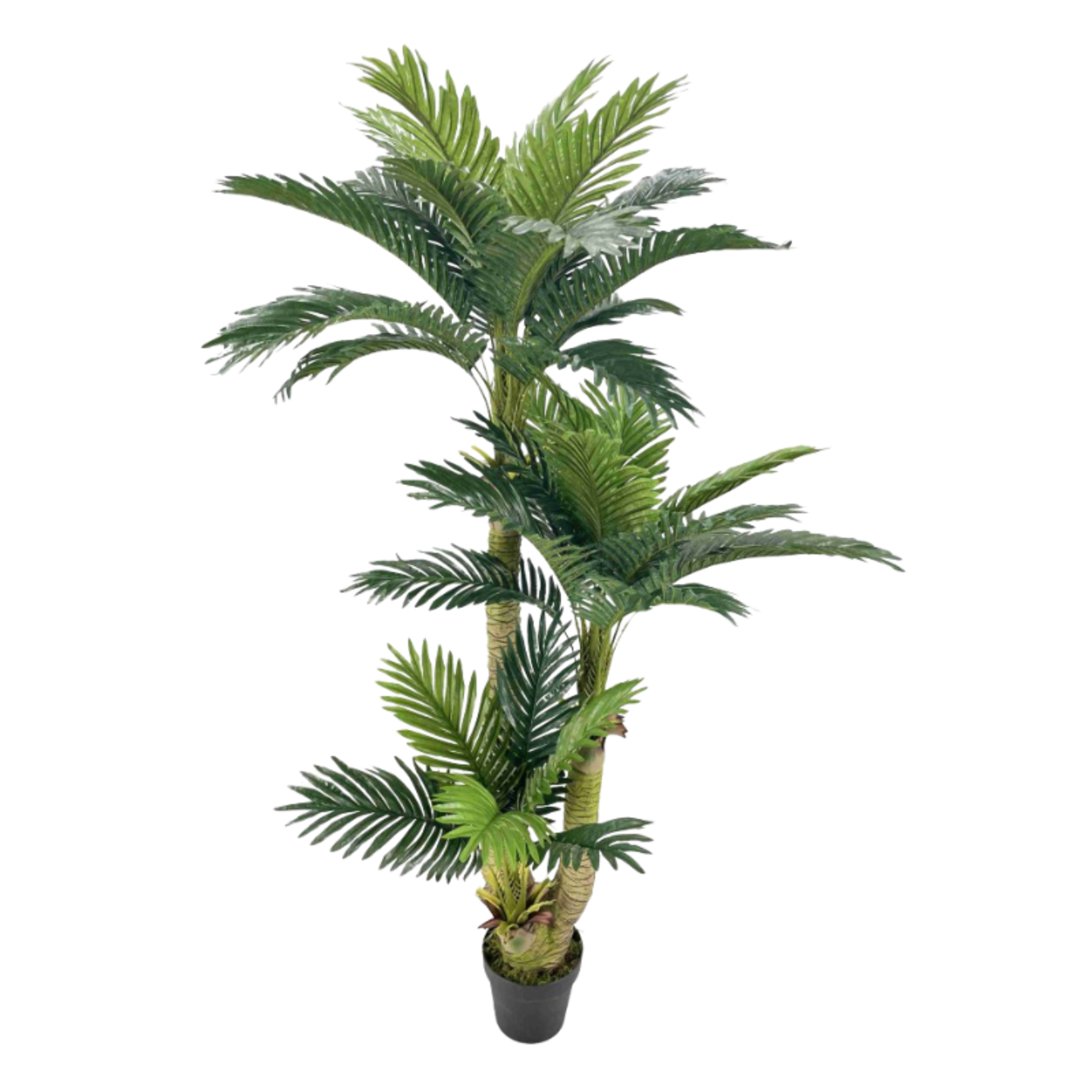 Artificial Cycas 1.6m w/ Plastic Pot