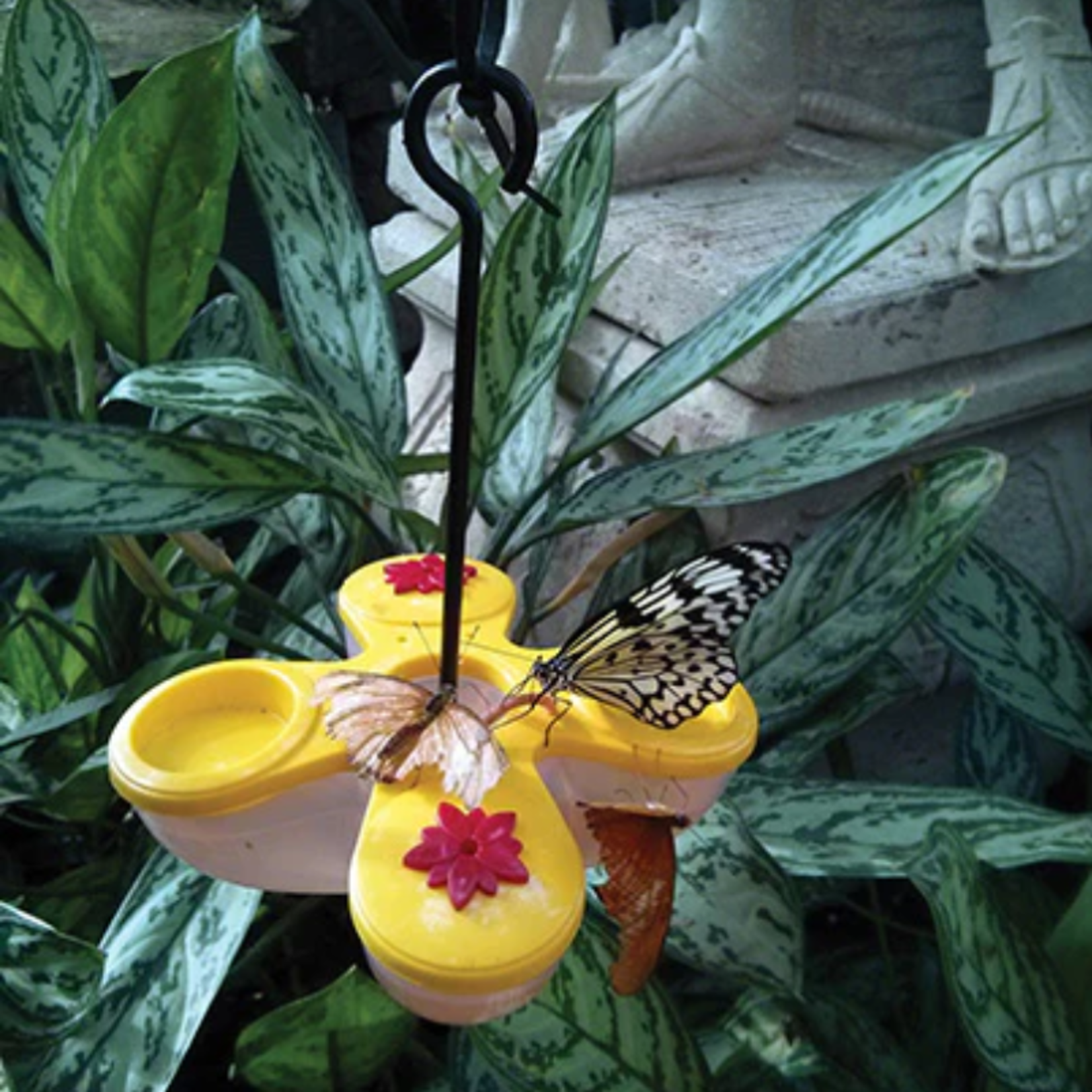 Pinebush Pinebush - Yellow Poly Butterfly Feeder