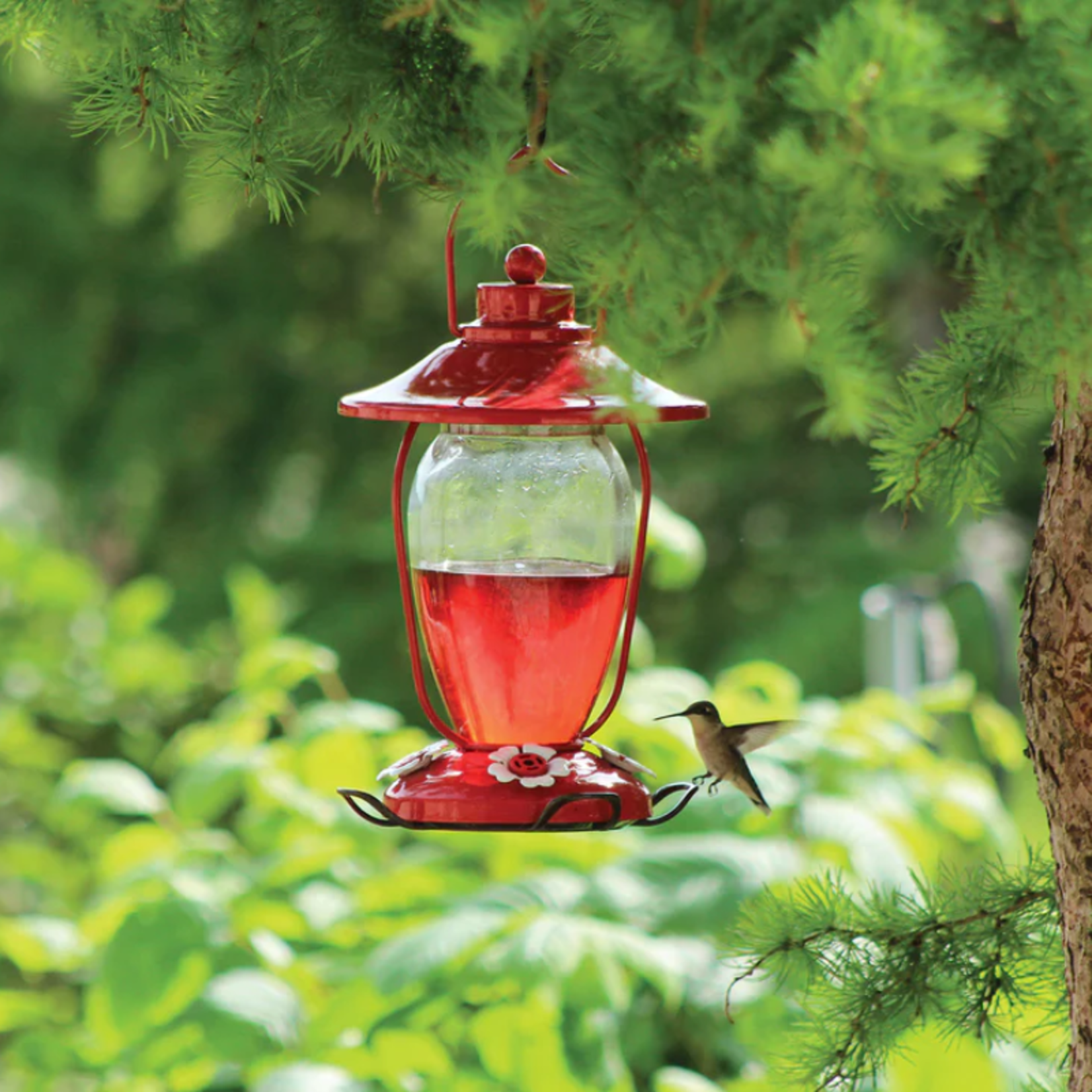 Pinebush Pinebush - Lantern Style Glass Hummingbird Feeder - Red
