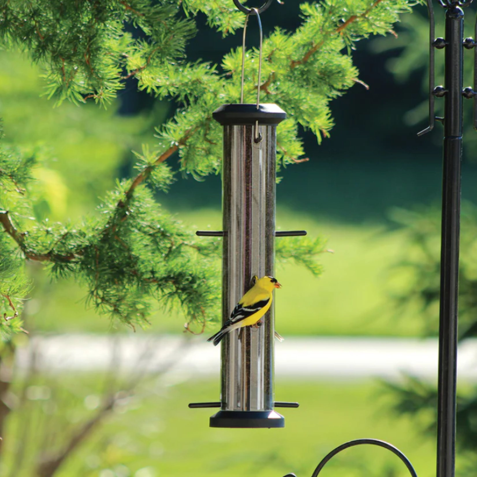 Pinebush 16" Wingfield Poly Finch Feeder