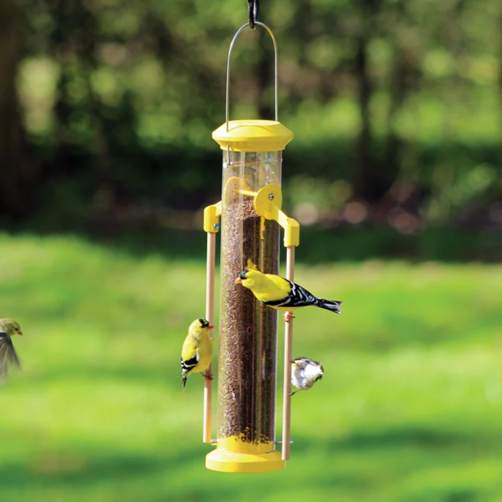 Pinebush Pinebush - 16'' Wingfield Finch Feeder w/ Wood Dowel Perches