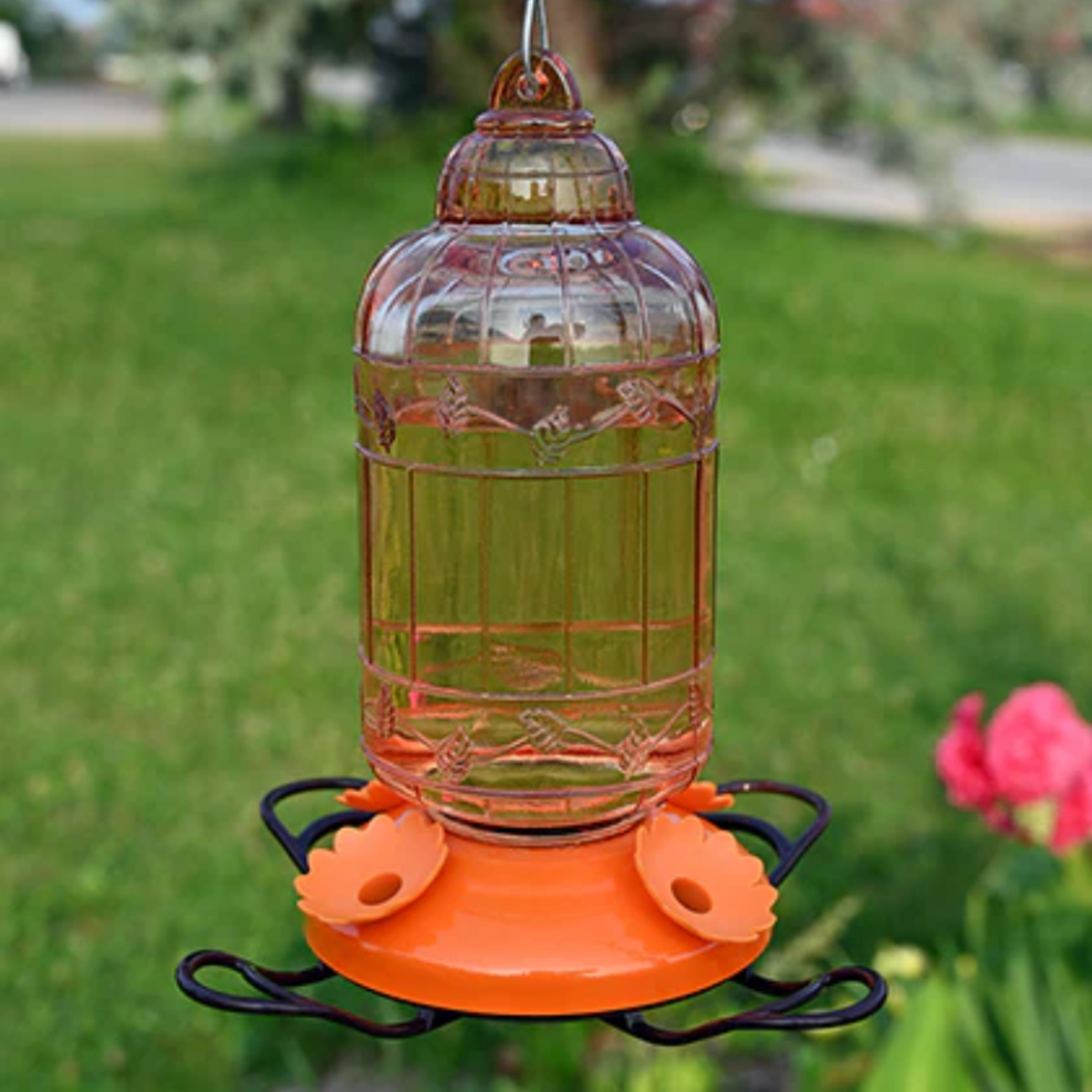 Pinebush Pinebush - Antique Bird Cage Style Glass Oriole Feeder