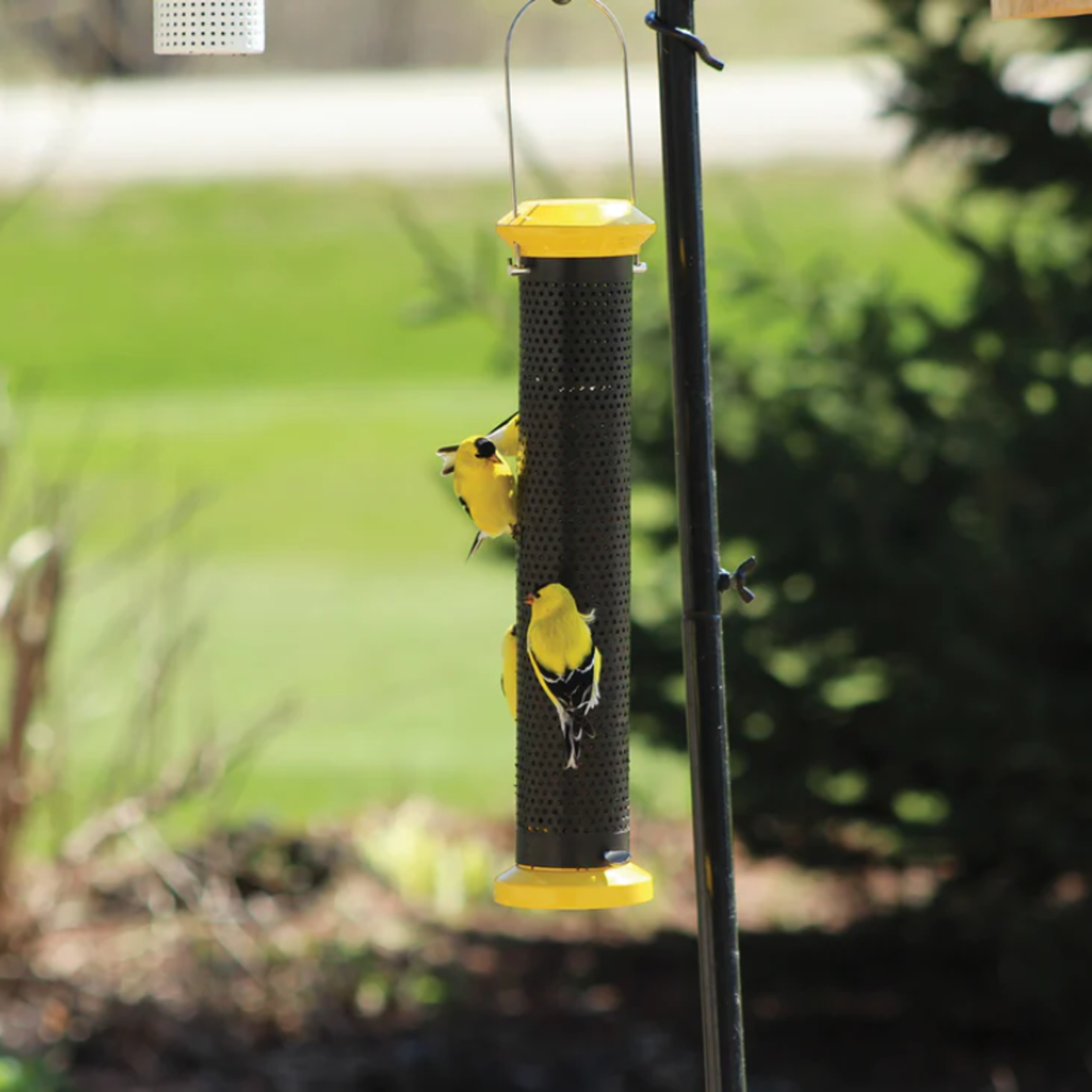 Pinebush Pinebush - 16" Mesh Tube Finch Feeder