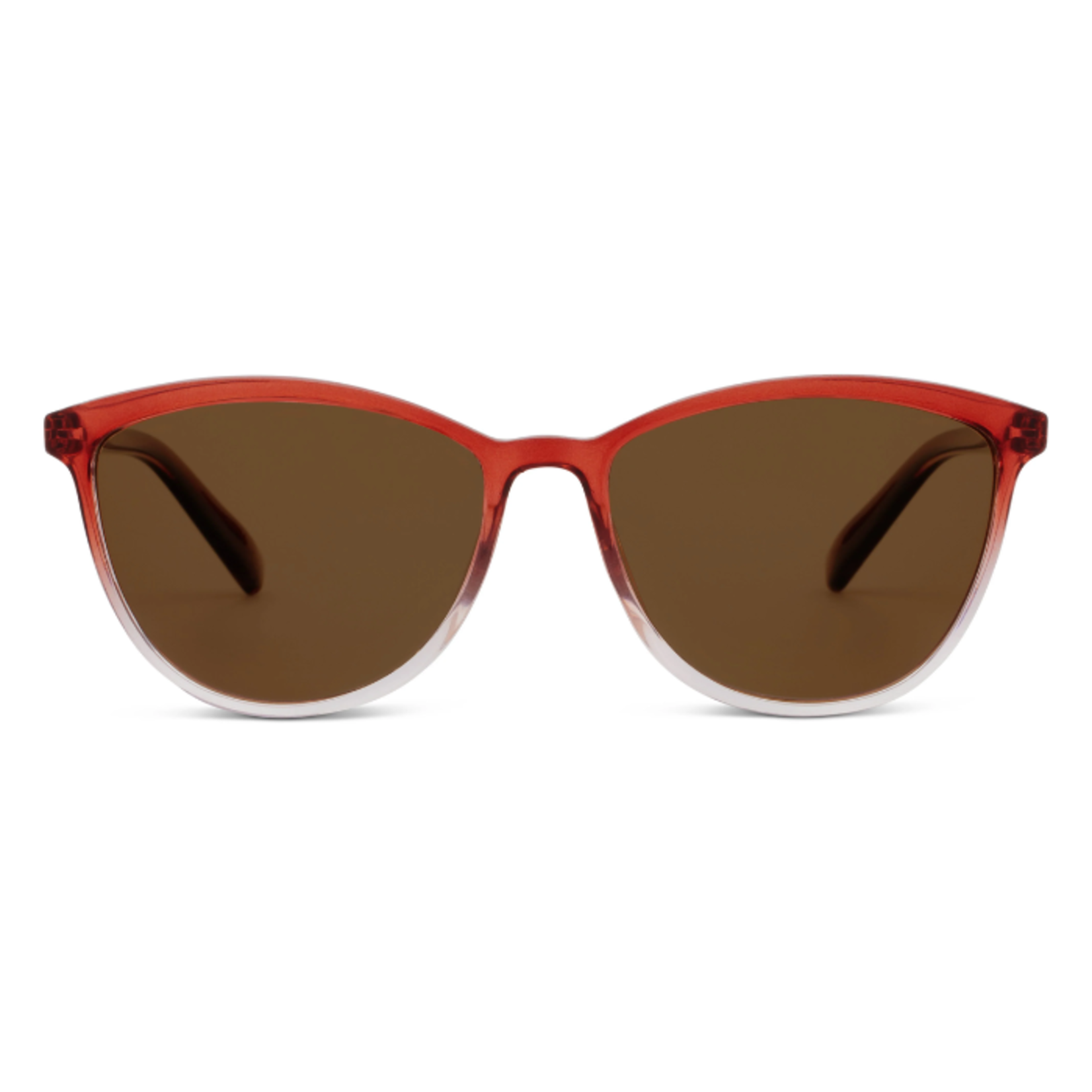 Peepers Peepers - Polarized Sunglasses - Havana