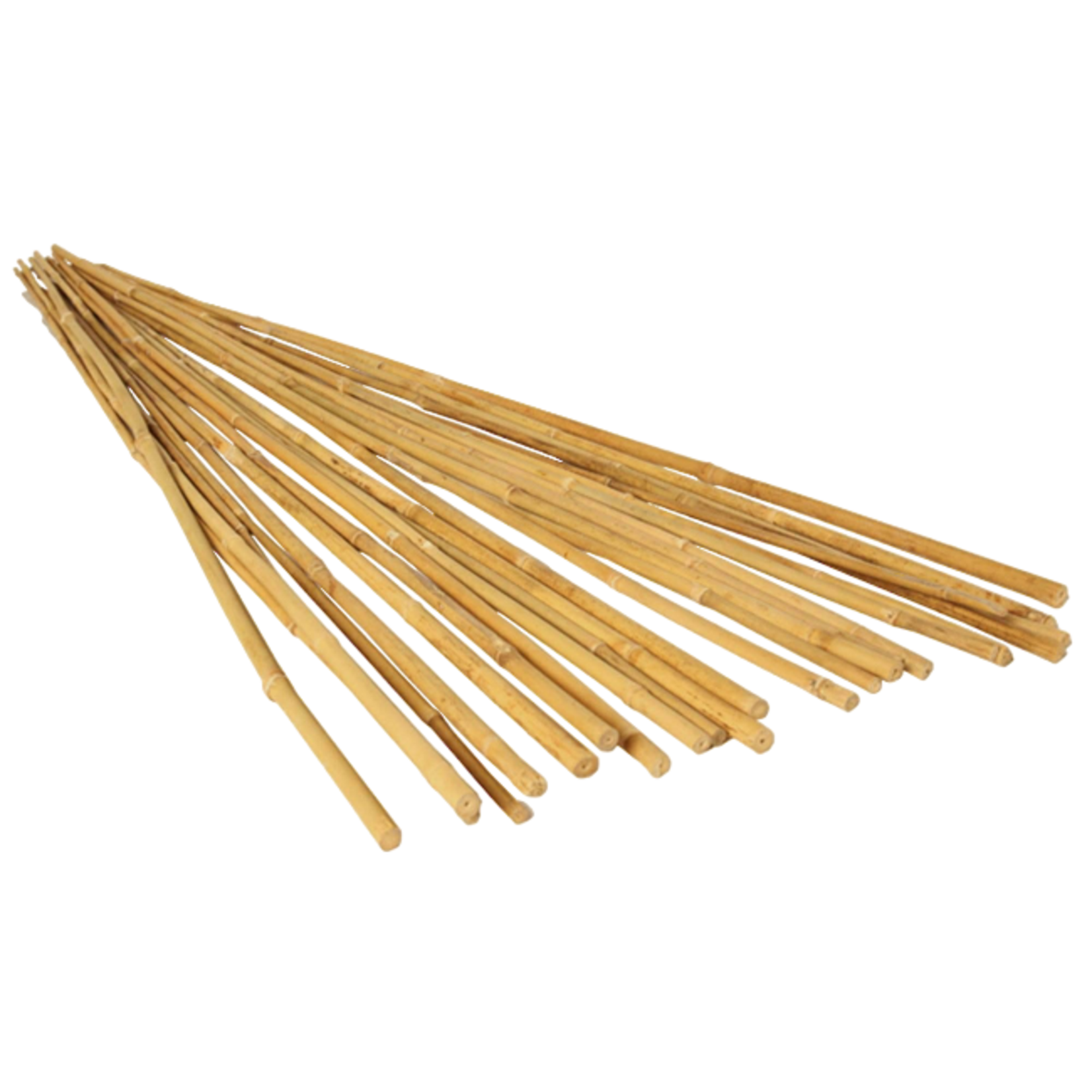 Natural Finish Bamboo Stick