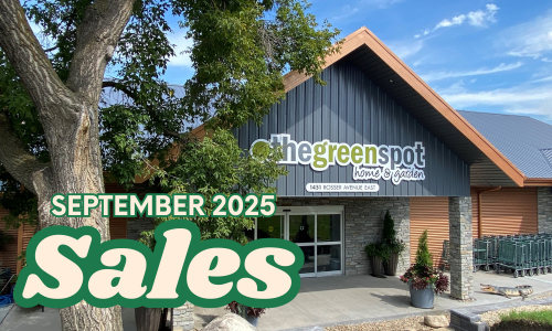September Sales