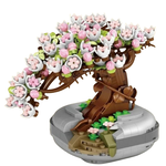Sakura Potted Plant