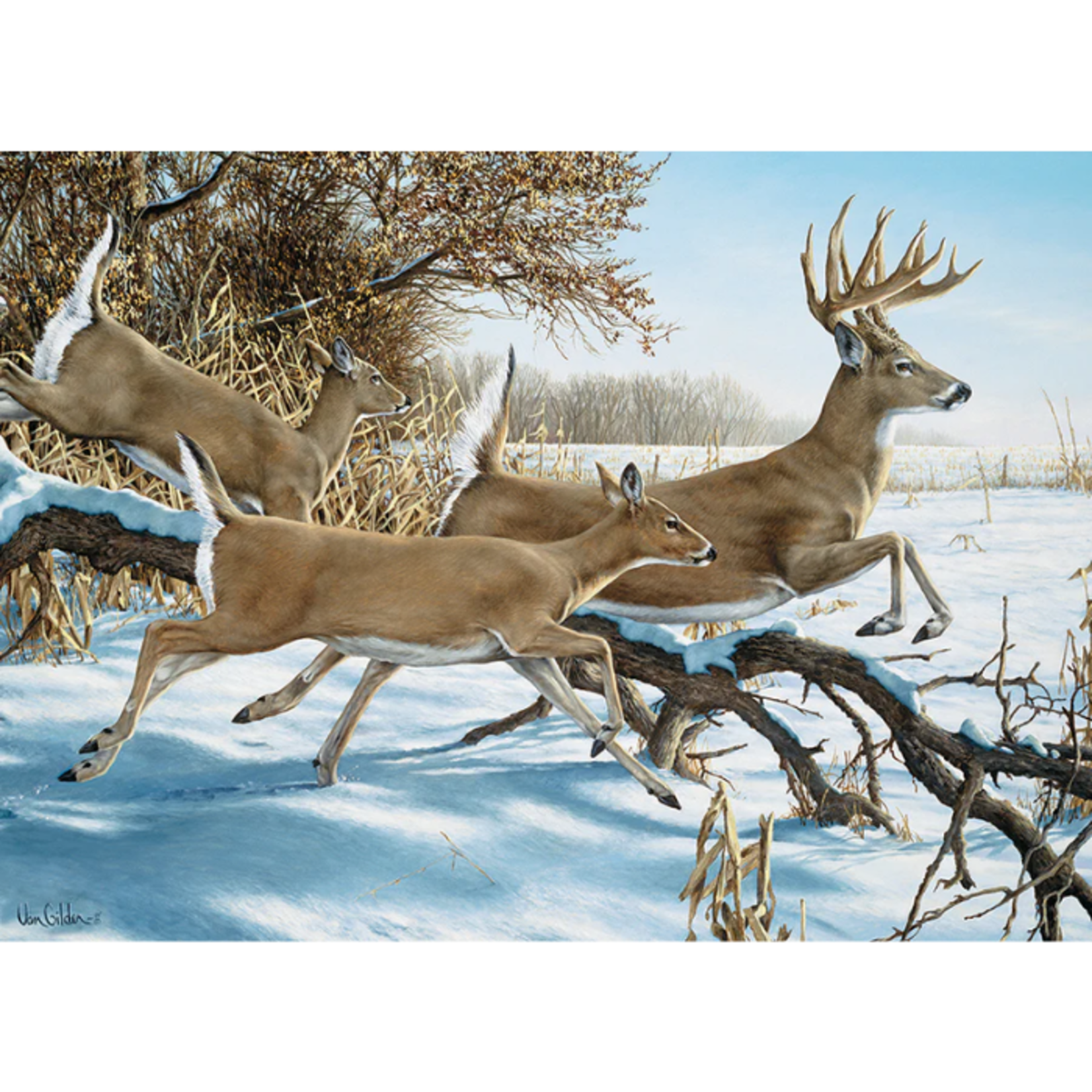 Cobble Hill Cobble Hill - 1000pcs - Breaking Cover