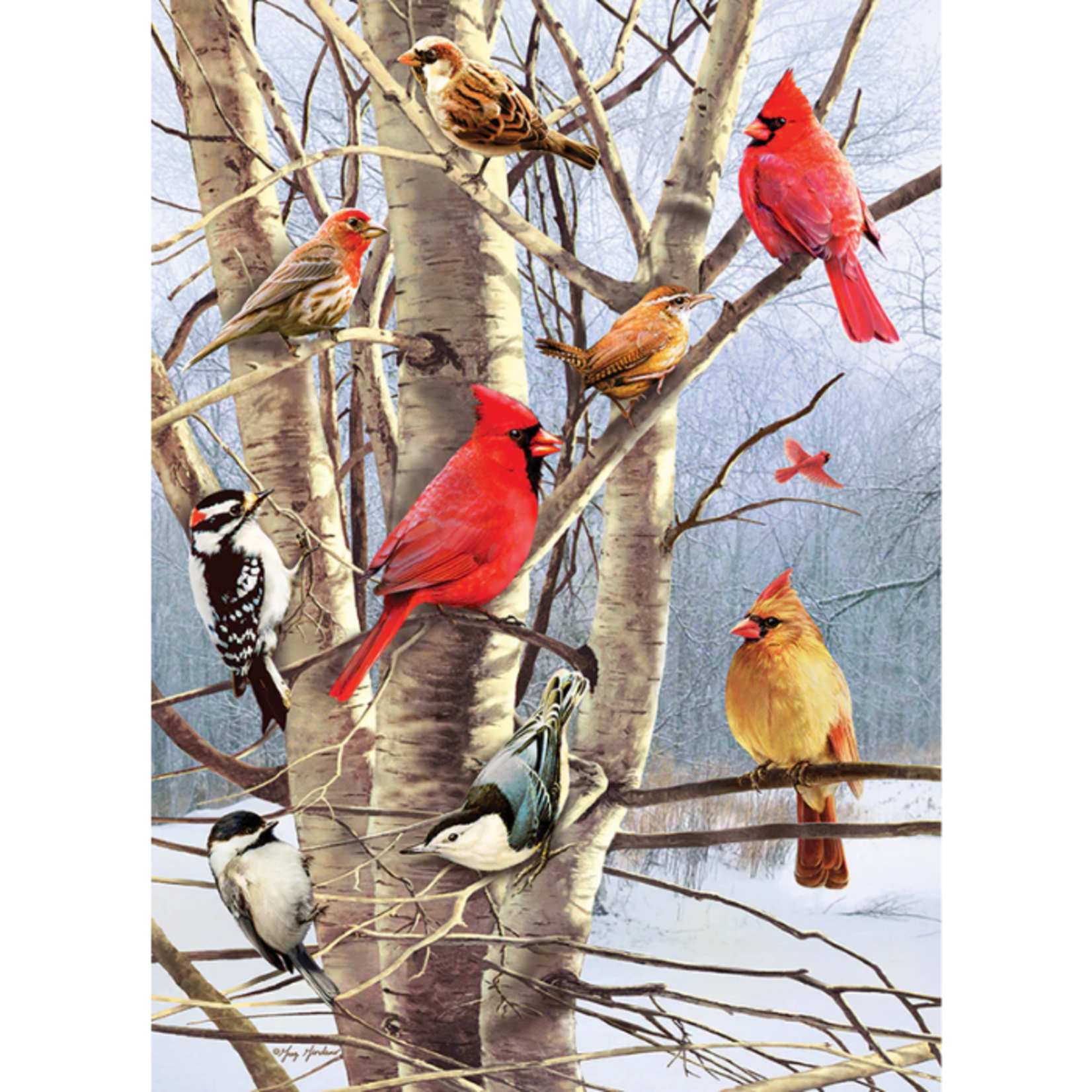 Cobble Hill Cobble Hill - 1000pcs - Winter Birds