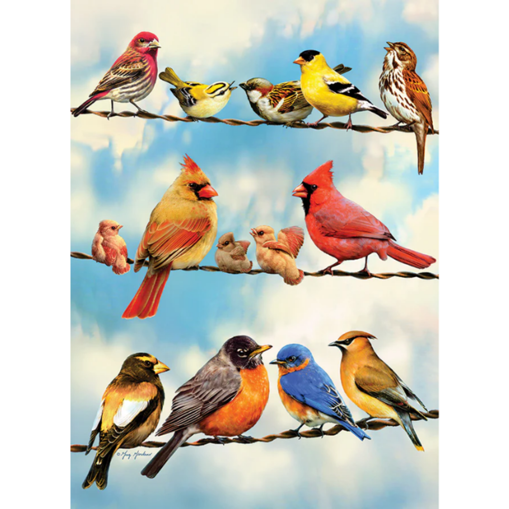 Cobble Hill Cobble Hill - 500pcs - Birds on a Wire