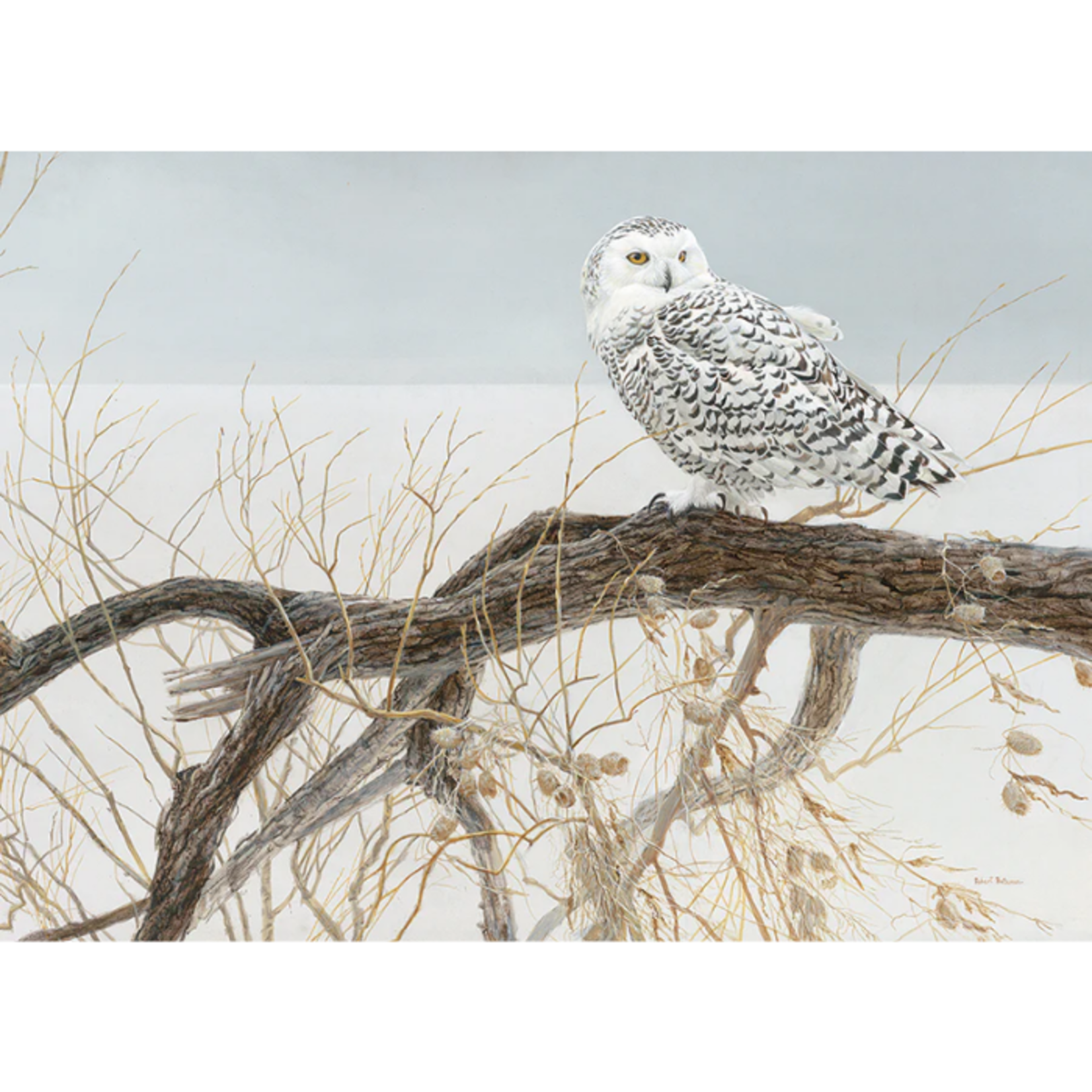 Cobble Hill Cobble Hill - 500pcs - Fallen Willow - Snowy Owl