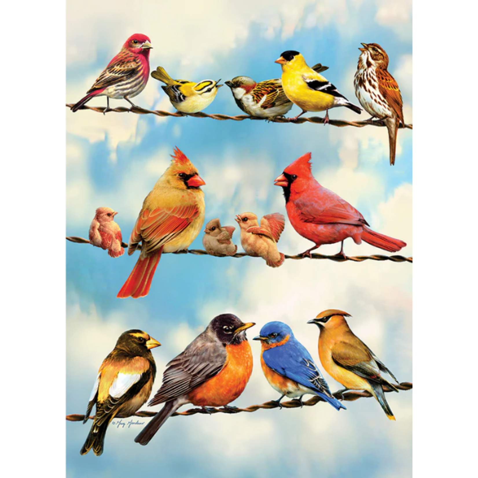 Cobble Hill Cobble Hill - 35pcs - Blue Sky Birds (tray)