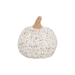 Evergreen Enterprises Printed Ceramic Pumpkin - Autumn Blooms - White/Speckled SM