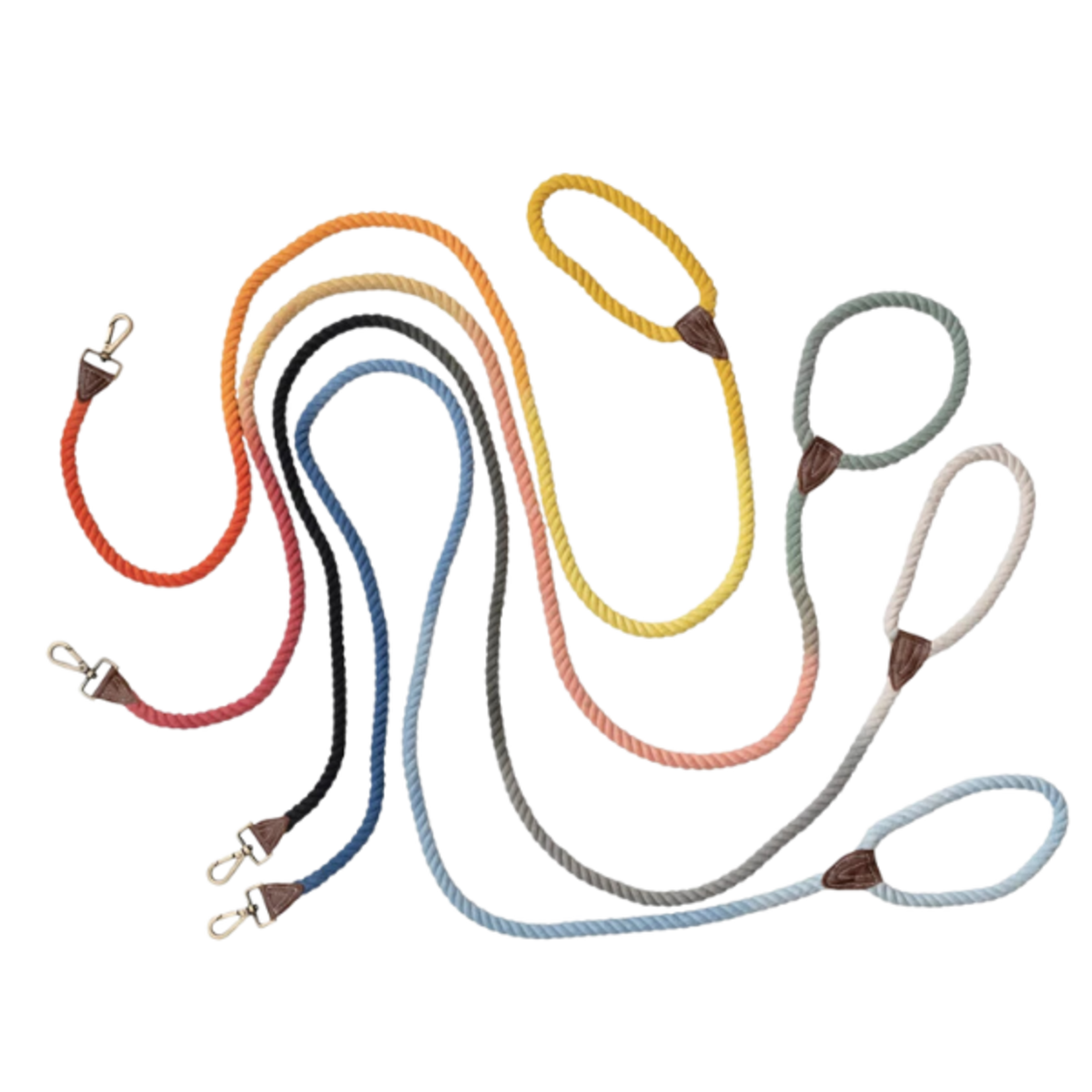 Creative Co-Op Braided Cotton Rope/Leather Dog Leash w/ Metal Clasp - Assorted Colors