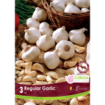 Florissa - Pkg 3 Garlic Regular