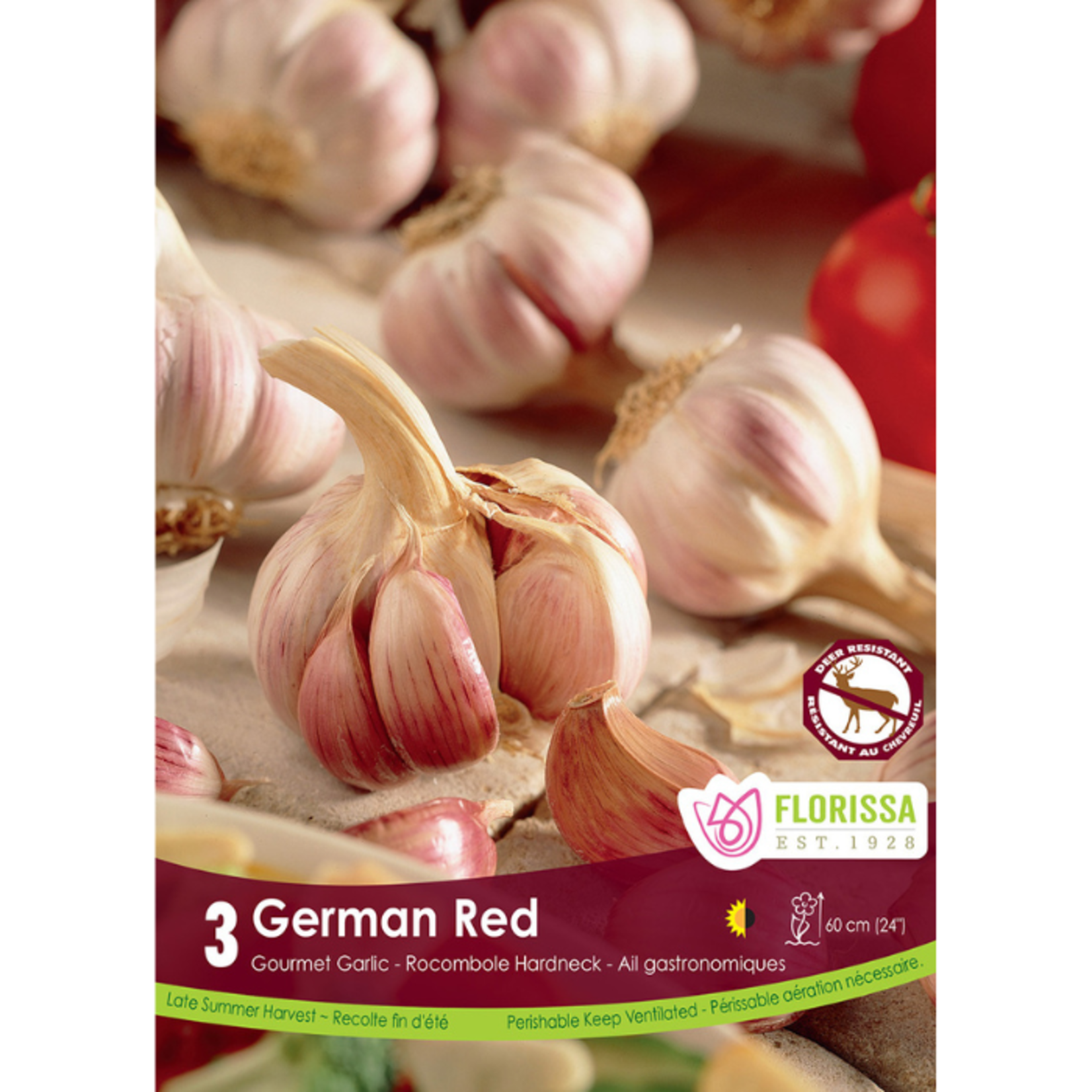Florissa - Pkg 3 Garlic German Red Tops