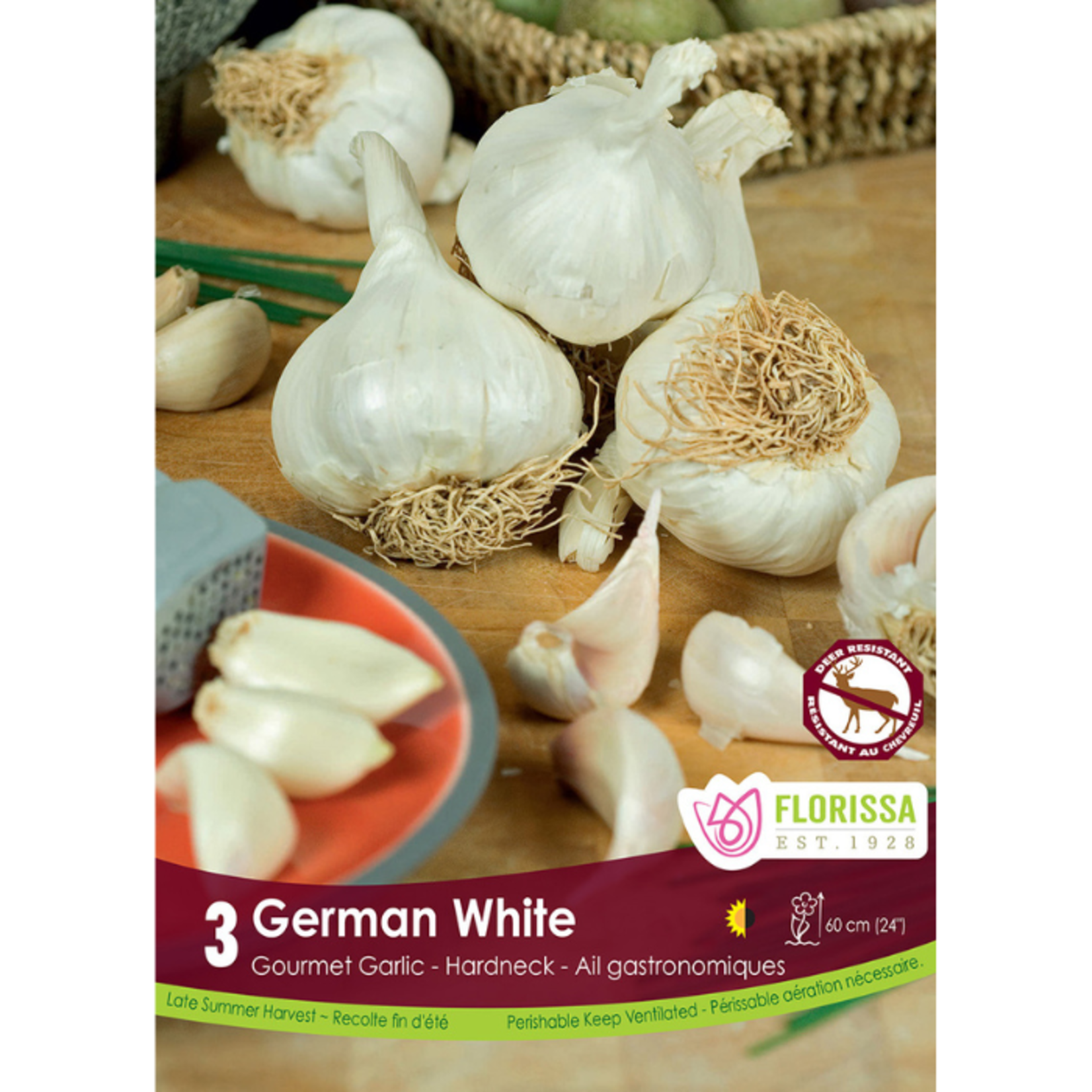 Florissa Garlic German White Tops