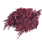 Bundle of Seeded Eucalyptus (Tinted Red)