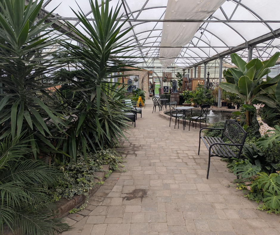Path through the tropical garden